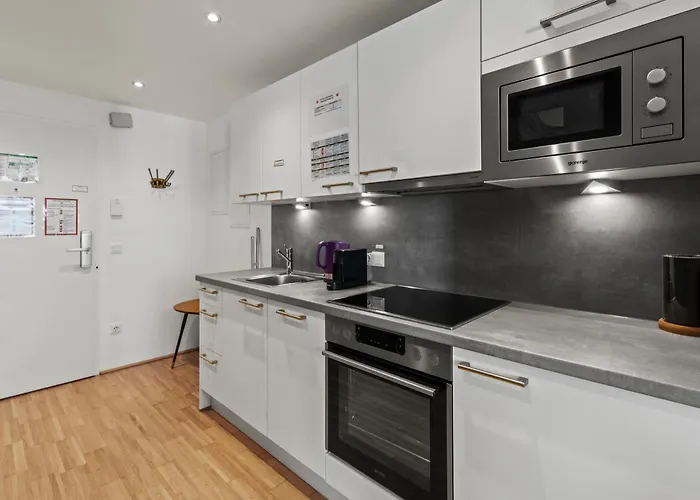 Rhc Station I Near Helmut Zilk Park I High Speed Wifi Apartment *